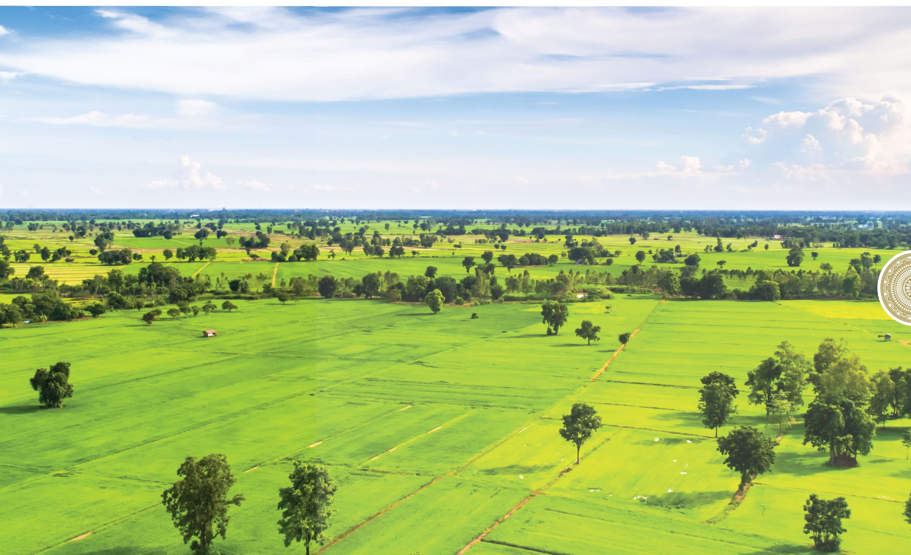 Tata Carnatica Plots in Devanahalli